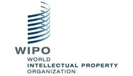 世界知識産(chan)權組織（WIPO）