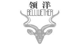 領(ling)洋專(zhuan)利事務(wu)所